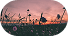 coucher de soleil