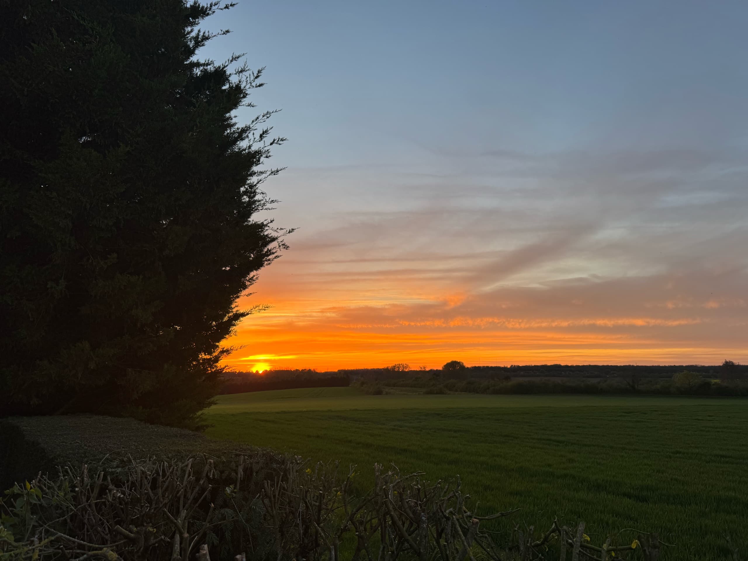 Photo de @LudoDeSangha